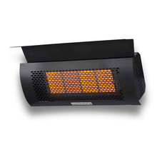 Load image into Gallery viewer, Wall Mounted Natural Gas Heater